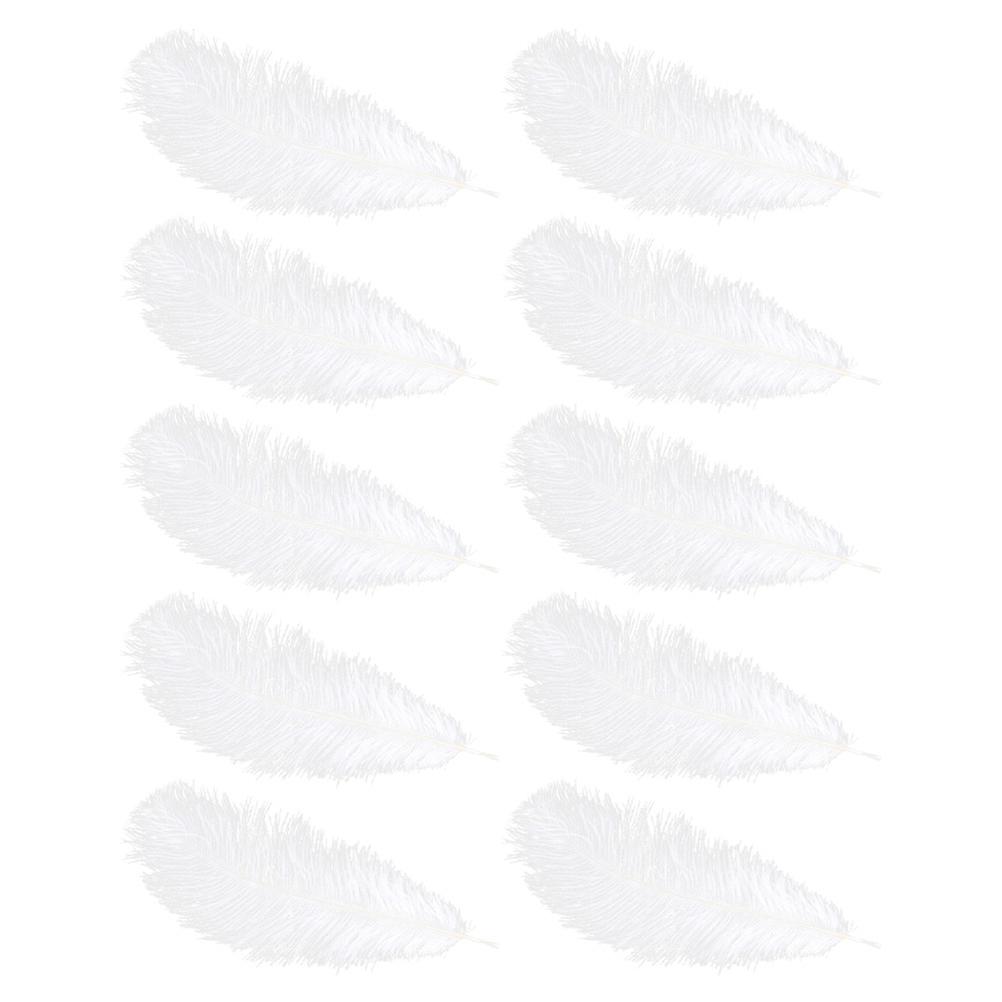 Ostrich for DIY Projects 10Pcs White Authentic Decor