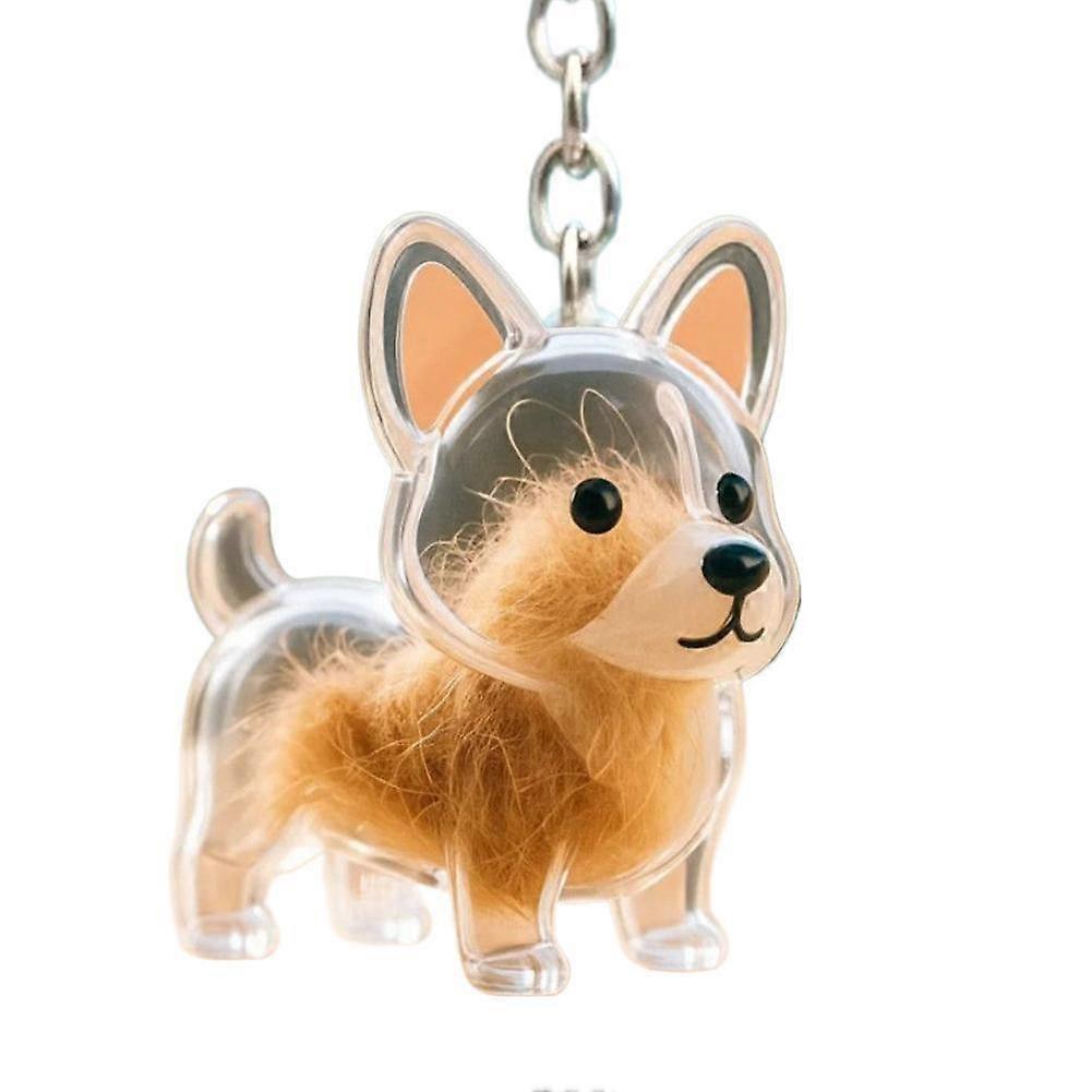 Custom Pet Hair Memorial Keychain Transparent Locket for Dogs with Storage Box Portable Keepsake