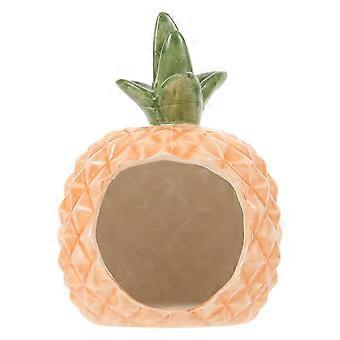 Keramisk Hamster Hus Dejlig Ananas Hamster Hideout Køling Hus Kæledyr Sove Nest