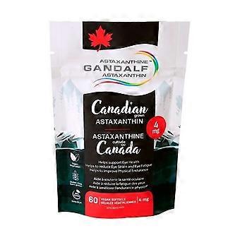 Spirulina Gandalf Astaxanthin, 4 mg, 60 vegane Kapseln
