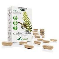 08 S Calaguala (XXI Formula) 30 capsules