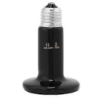 Lampe chauffante infrarouge en cramique pour animaux de compagnie, ampułka do polewania gadów, 75 W