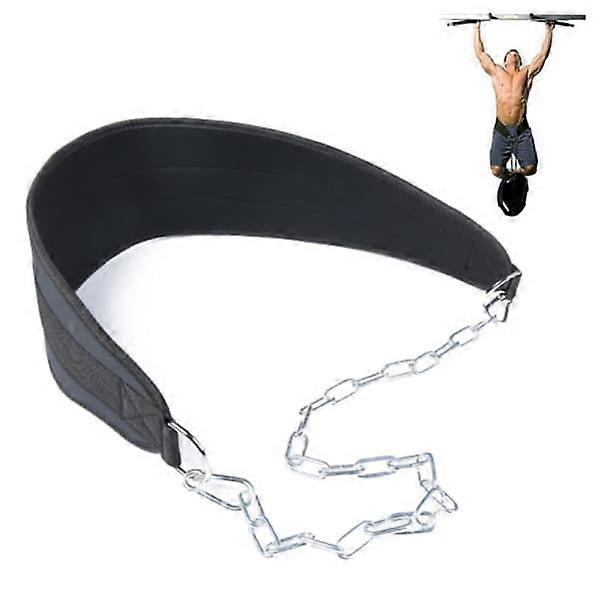 Weighted pull Up Dip Belt Chain Double D-Ring Weightlifting