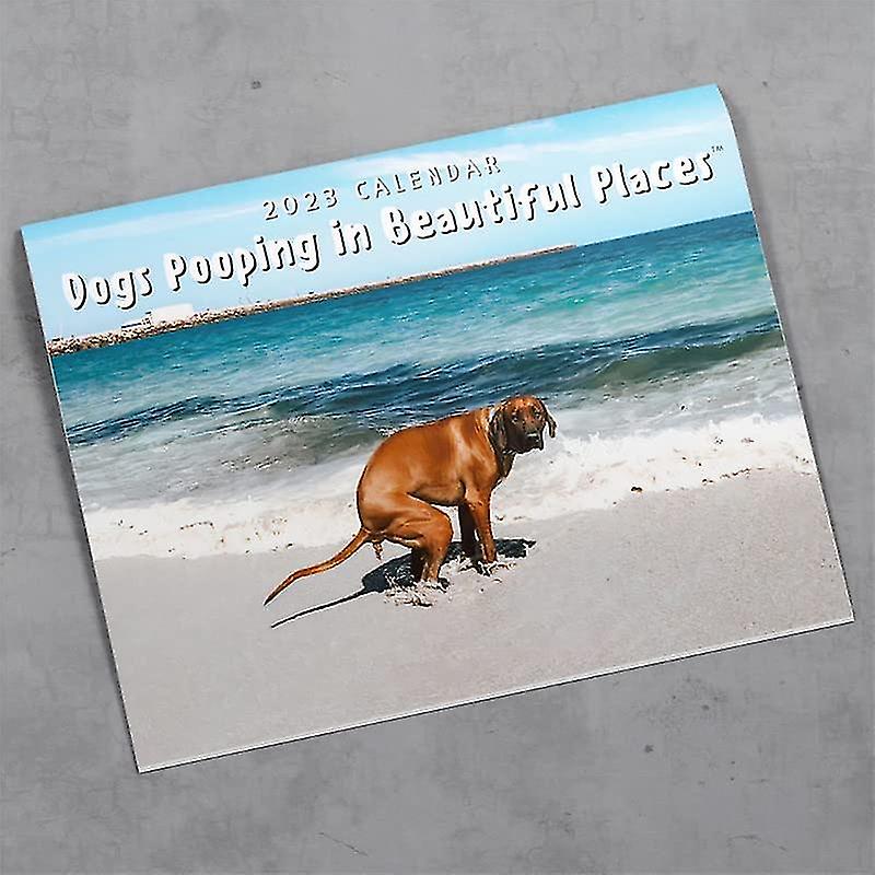 Calendrier Mural 2025 Chiens Qui Font Caca – 12 Mois D’Humour Canin Dans Des Lieux Magnifiques, Format 11x17 Pouces Ouvert