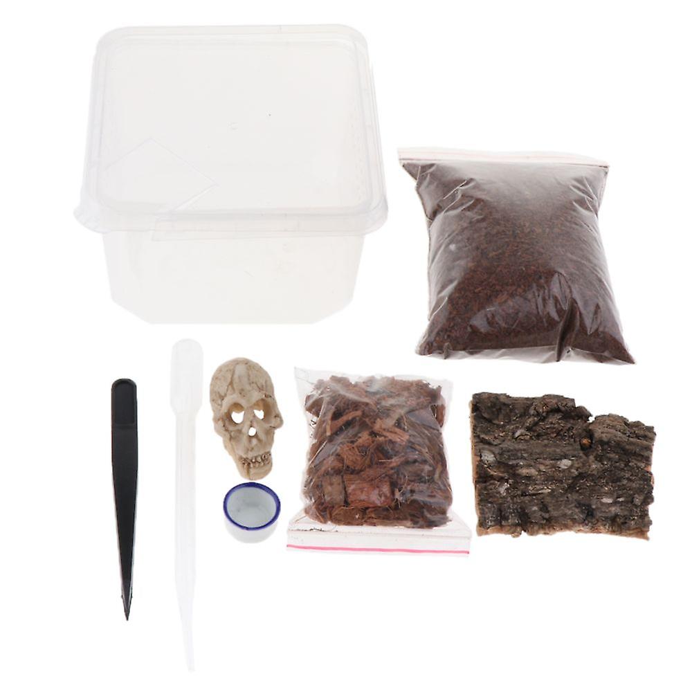 Amphibian Breeding Box
