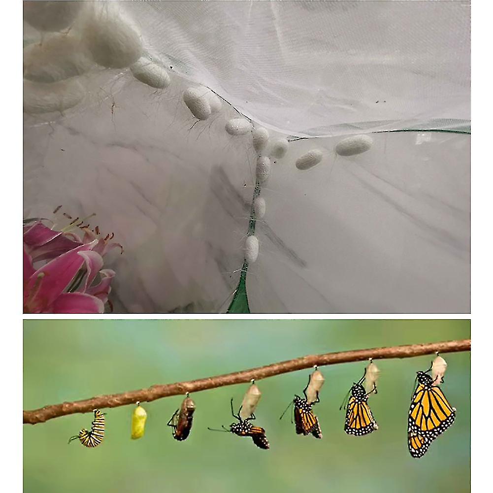 Portable Insect Habitat Cage Portable Insect Butterfly Habitat Cage Insect Housing Enclosure Breeding Cage