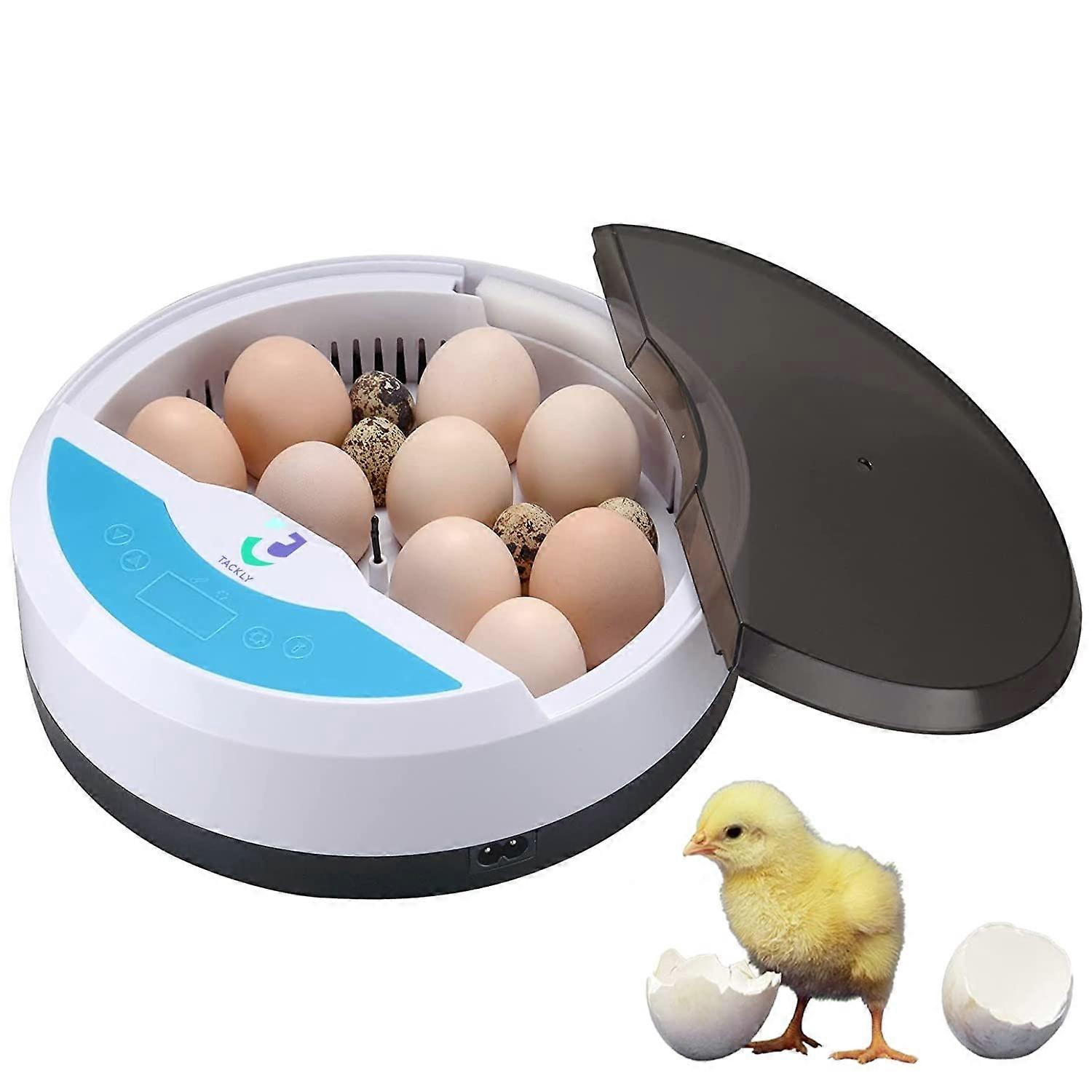 Automatic incubator for chicken or bird eggs - Digital incubator 9/12 chicken eggs with temperature control
