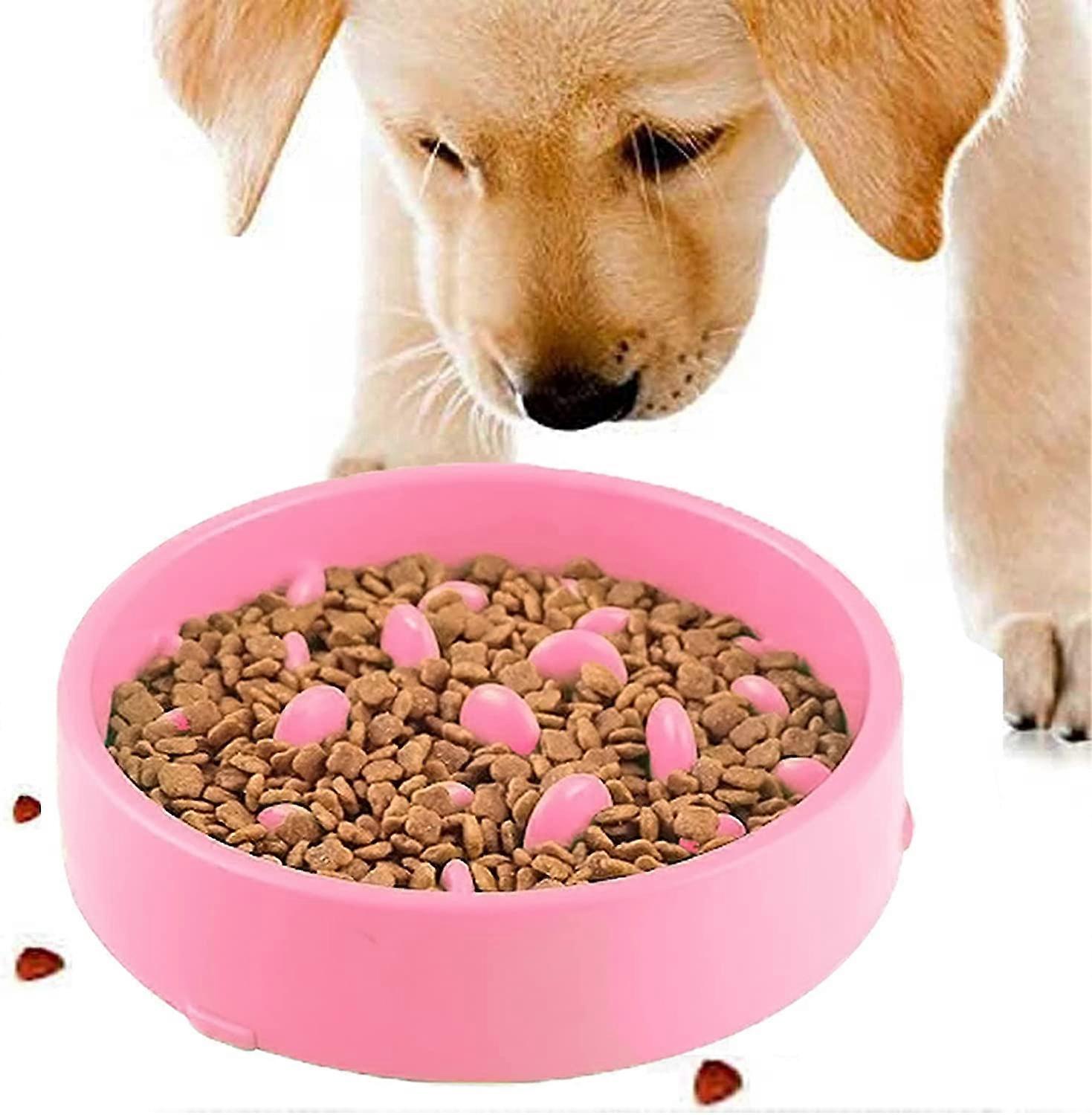 Dog Bowl Slow Interactive Feeding Durable Non-slip