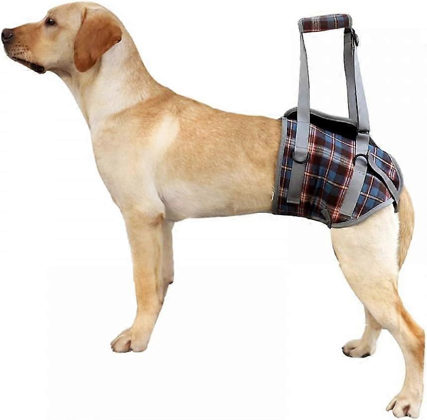 Dog Lift Harness,Dog Support Rehab Harness with Handle Adjustable Straps Support Pet Rear Support for Old Disabled Joint Injuries