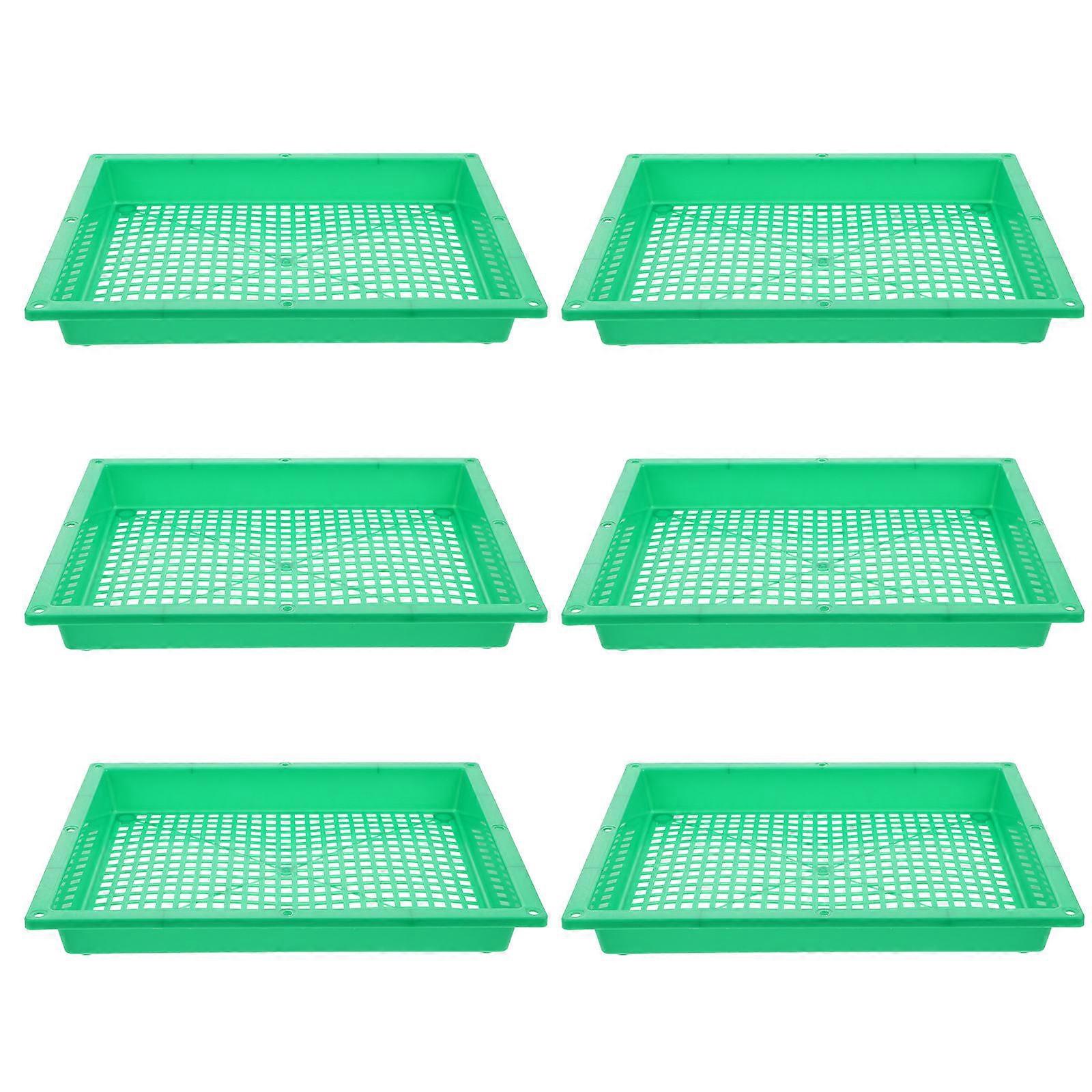 Green Plant Growing Tray for Gardening Use Made of Durable Plastic with Multi Holes 6pcs