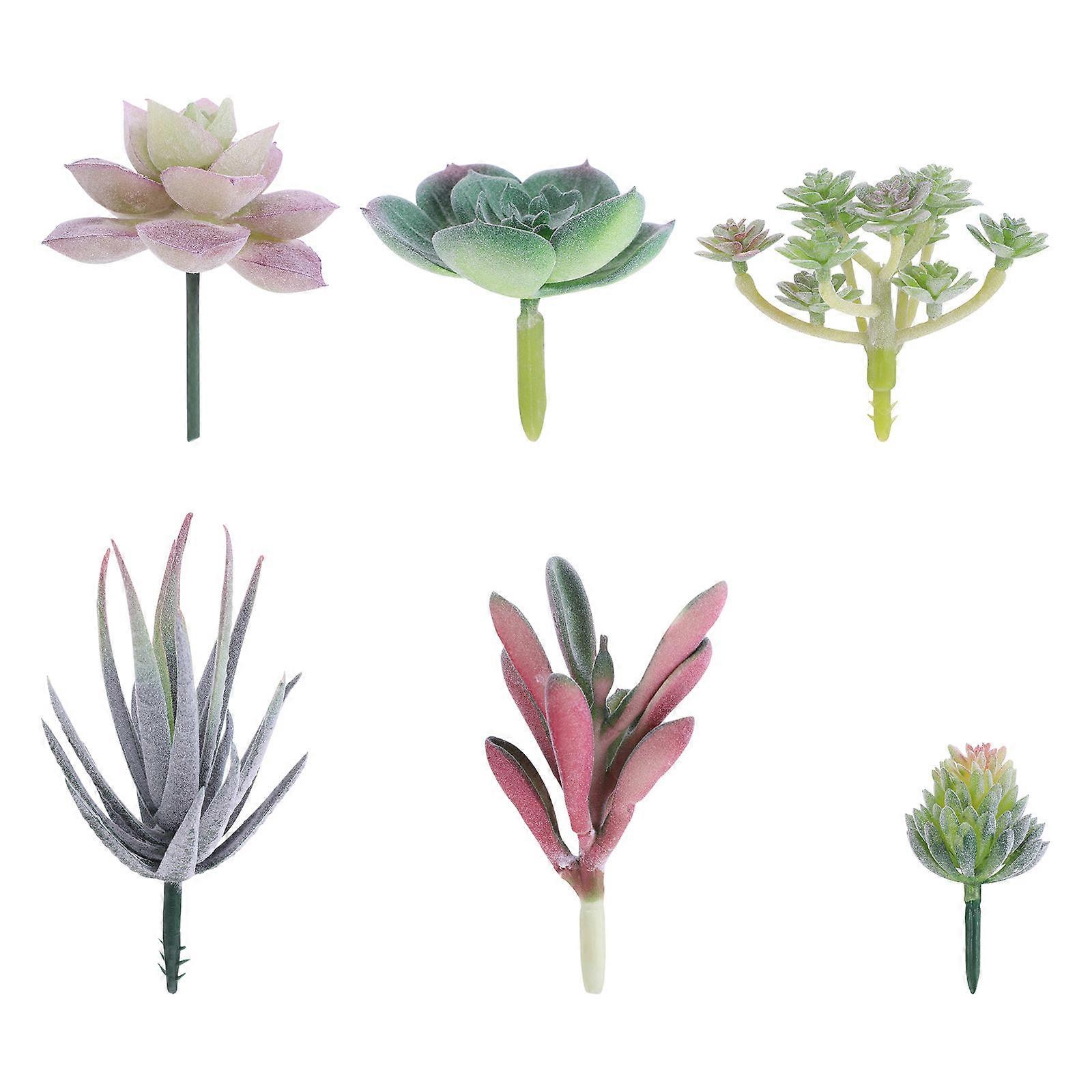 Unpotted Succulent Plants for Vases and Holders, Great Home Embellishments
