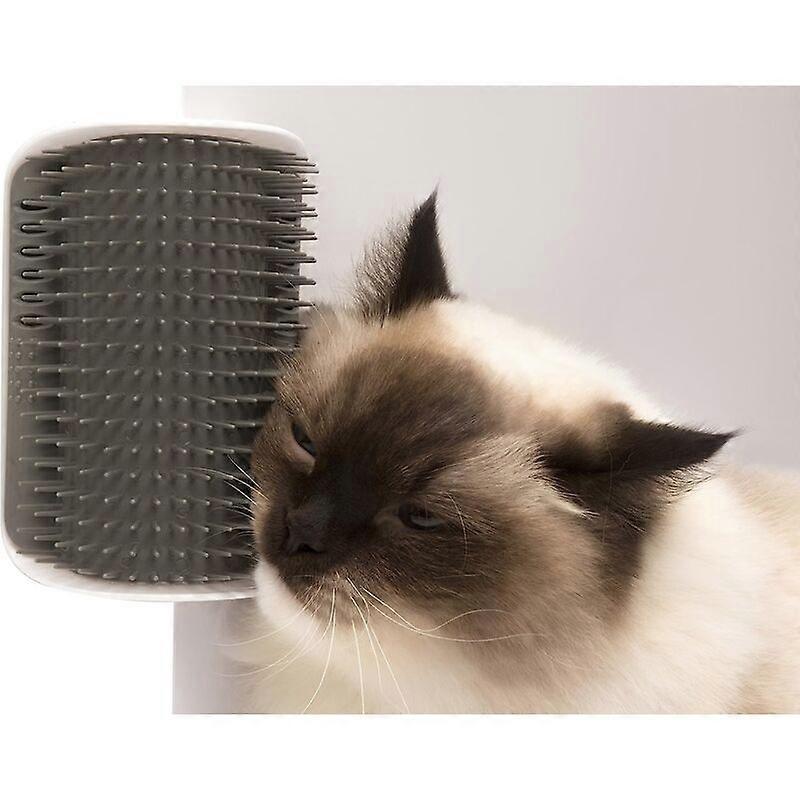 Cat rubbing device, corner massager brush, mint toy
