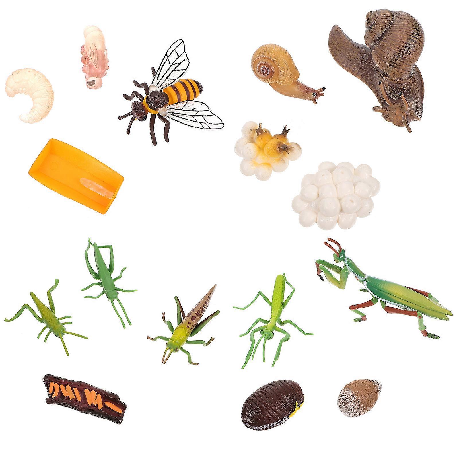 Simulation Insect Snail Shape Childrens Life Cycle Toys Educational Supplies Assorted Color 10X7.5X2CM 4 Sets
