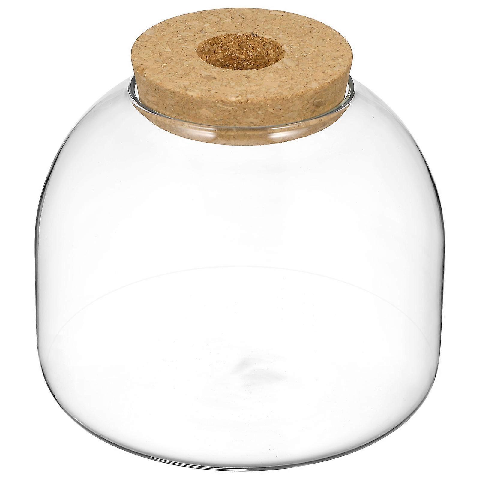 Glass Terrarium Jar with Wood Stopper for Packing Transparent Hydroponic Plants Container 7.5 inch