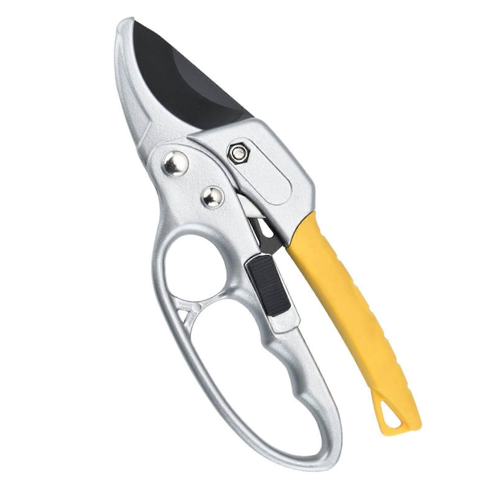 Professional shears with locking mechanism for garden trees, flowers, plants