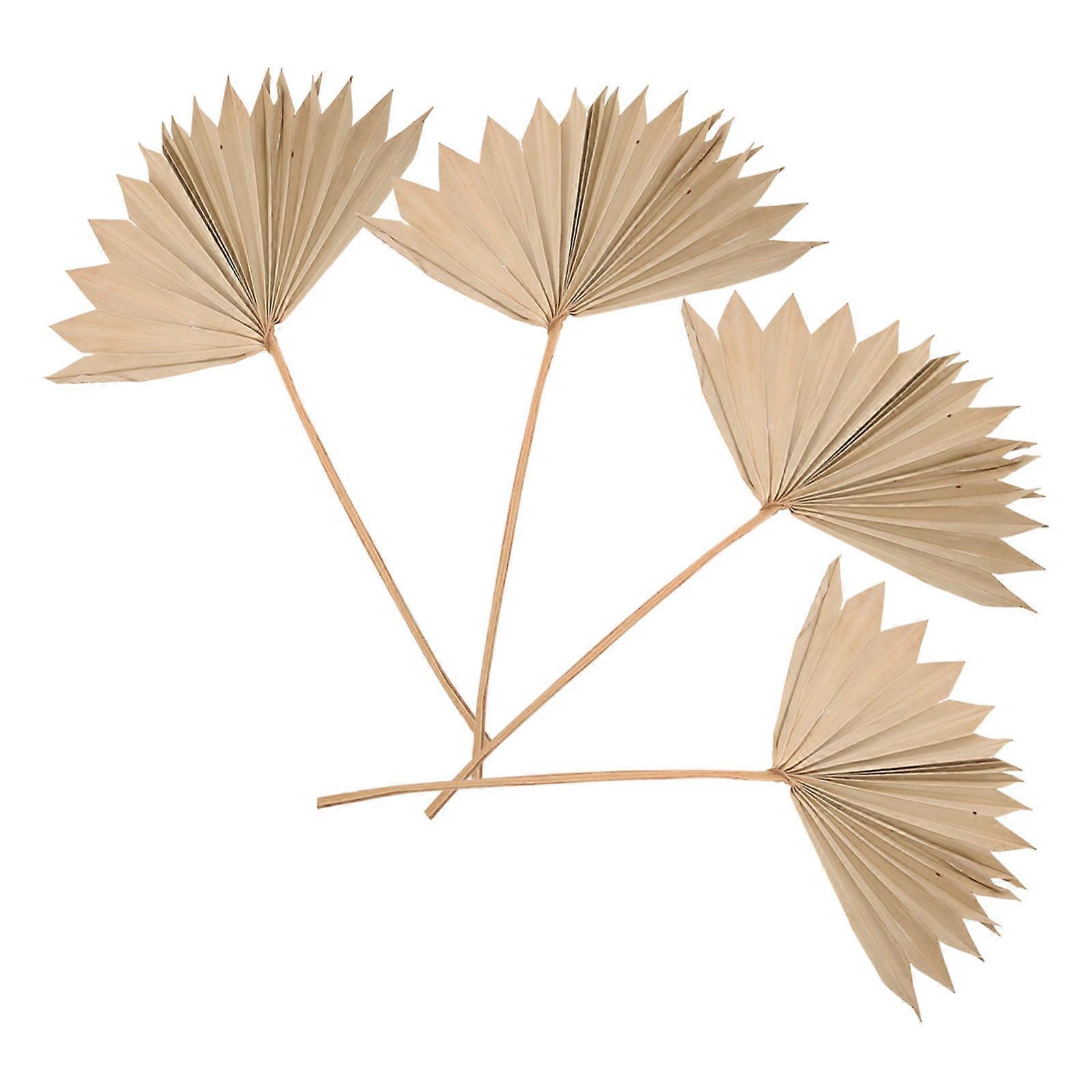 Dried Palm Leaf Wedding Decor for 20Pcs Party Layout and Decorative Use