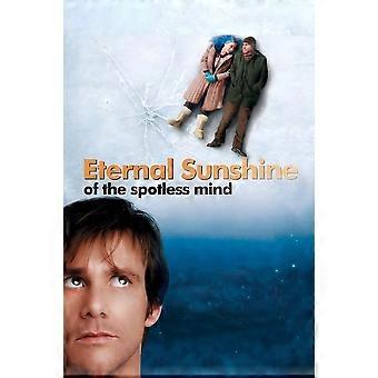 Eternal Sunshine of the Spotless Mind Jigsaw Puzzle Brain Teaser S0647