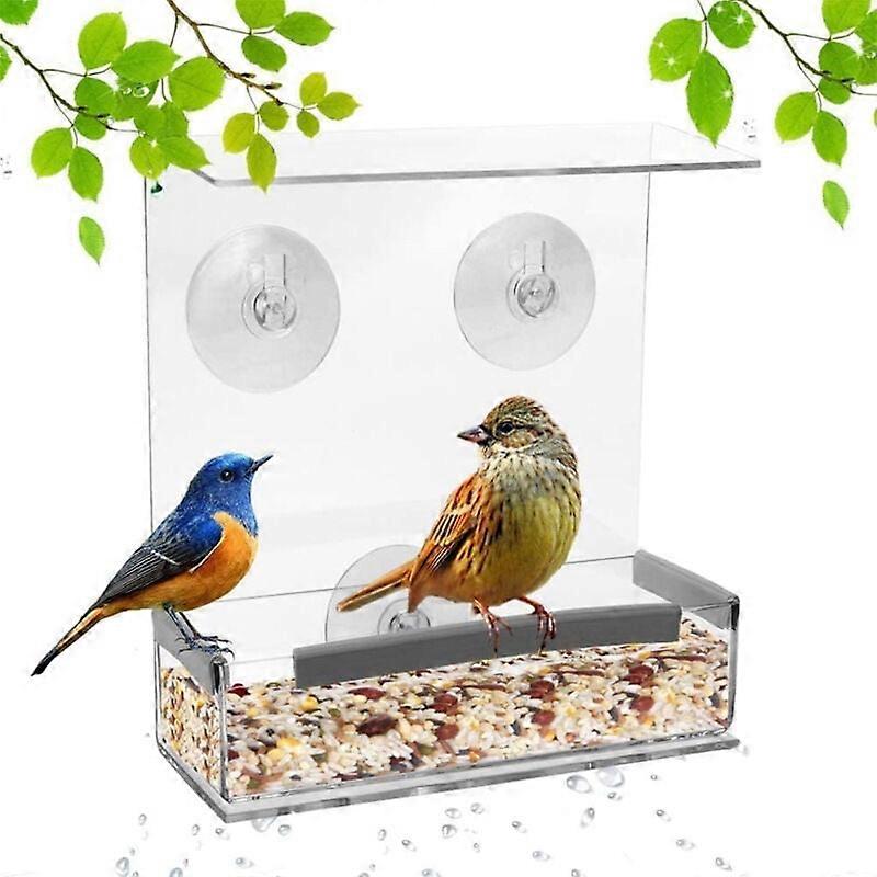 Squirrel-Resistant Window Bird Feeder, Clear Acrylic, Easy Assembly