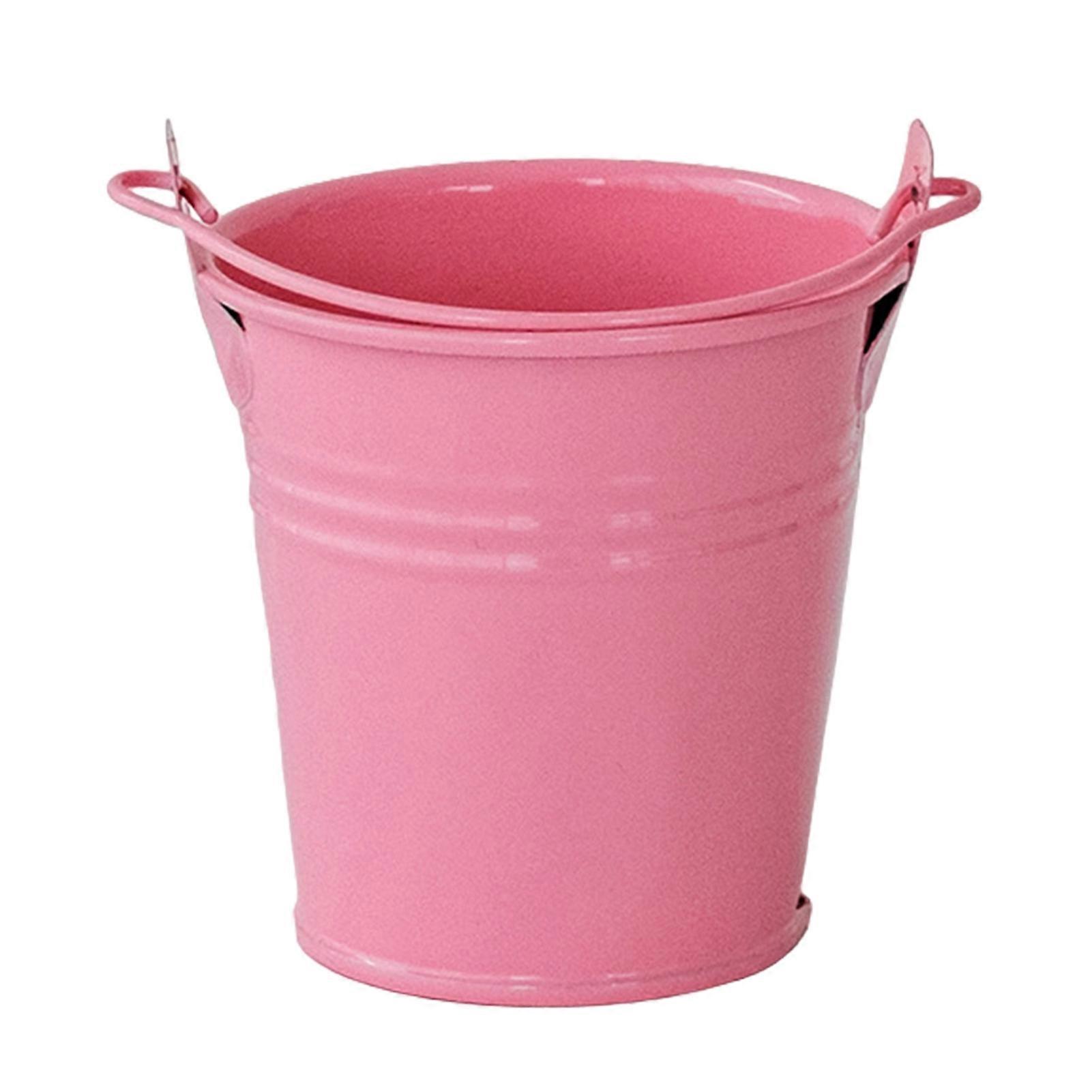 Iron Bucket Small & Versatile for Potted Plants