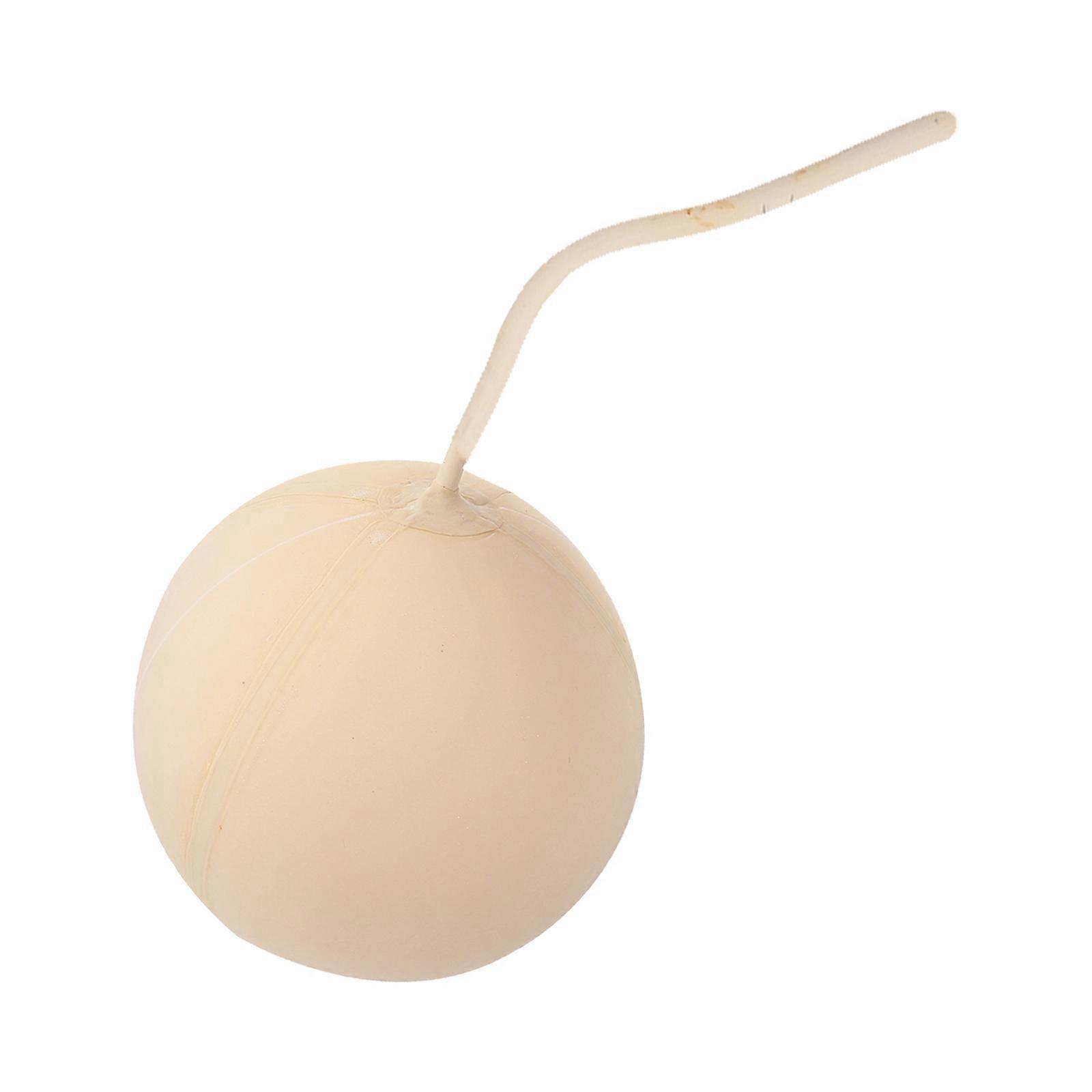 Reusable Sample Ball Bladder Gas Sampling Ball Bladder Gas Sample Bladder