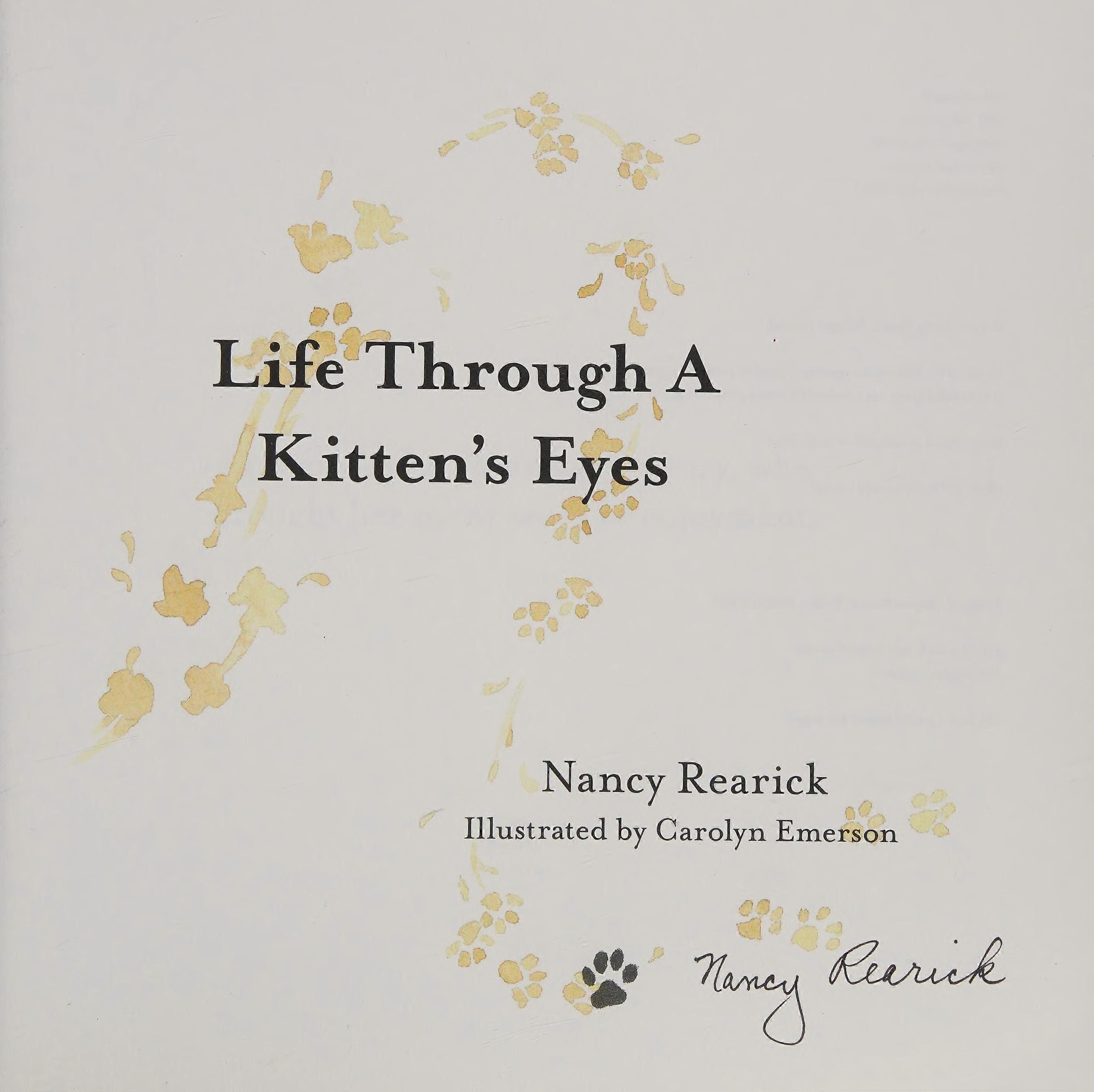 Life through a kitten's eyes