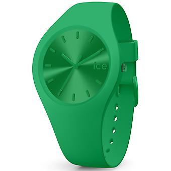 Ice colour watch for Analog Quartz Woman with Silicone Bracelet IC017907