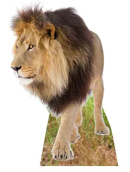 Lion - Lifesize Cardboard Cutout / Standee