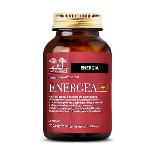 Energea+ 60 capsules