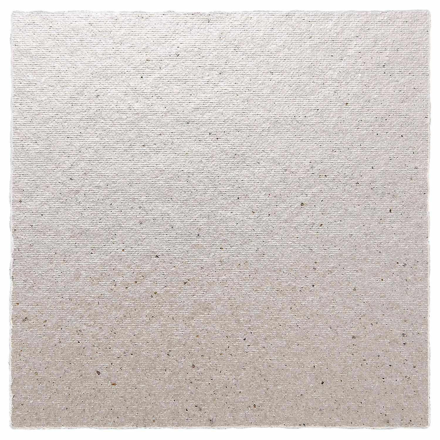 2 X Replacement 12 X 12 Cm Plate Mica For Microwave-AM