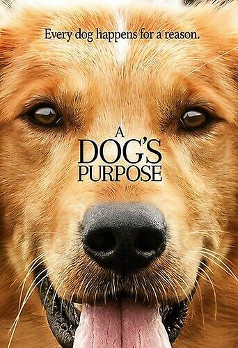 A Dogs Purpose [DVD] [2017] [Region 1] [ DVD