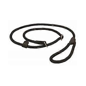 Dog Leash with Pull Loop
