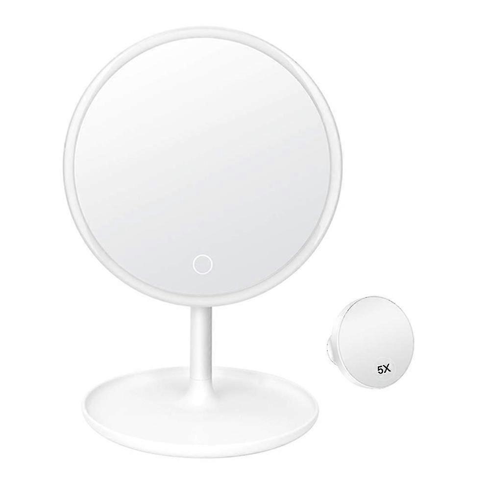 3 Color Led Vanity Mirror With Light, 5x Magnification Mirror