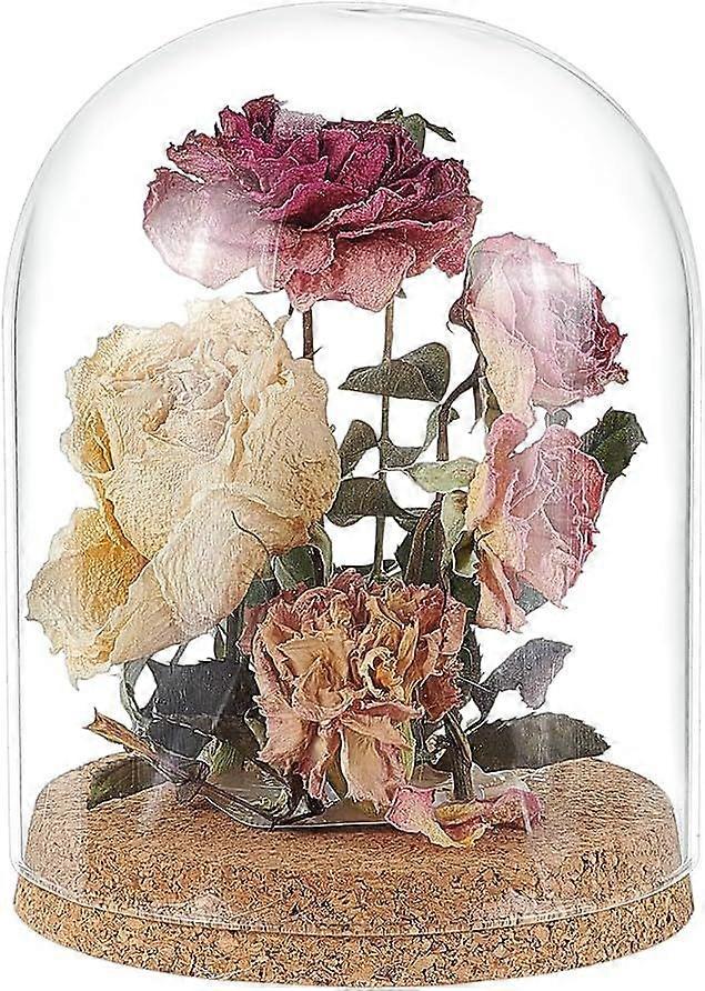 Glass Display Dome Cloche 4.9x6.5 inch Glass Bell Jar with Cork Base Glass Bottles Decorative Jars for Flower Plants Specimens Crafts Decorations ID: 