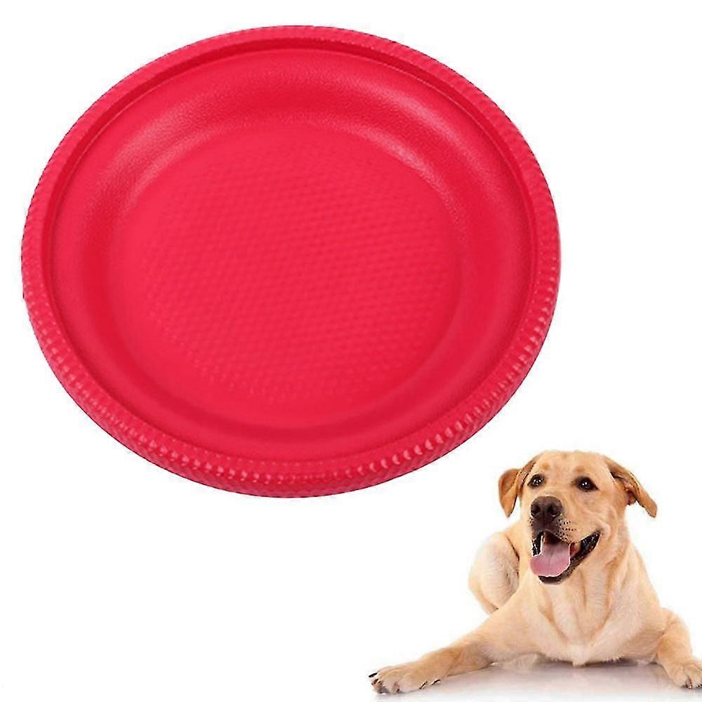 Hund frisbees