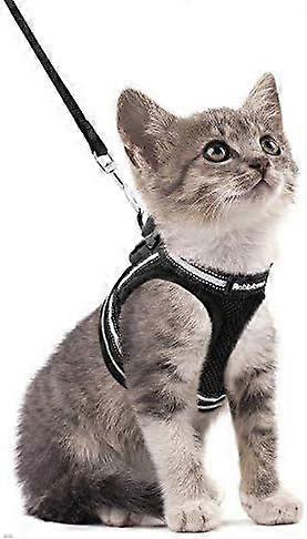 Soft & Comfortable Cat Walking Vest for Small Pets
