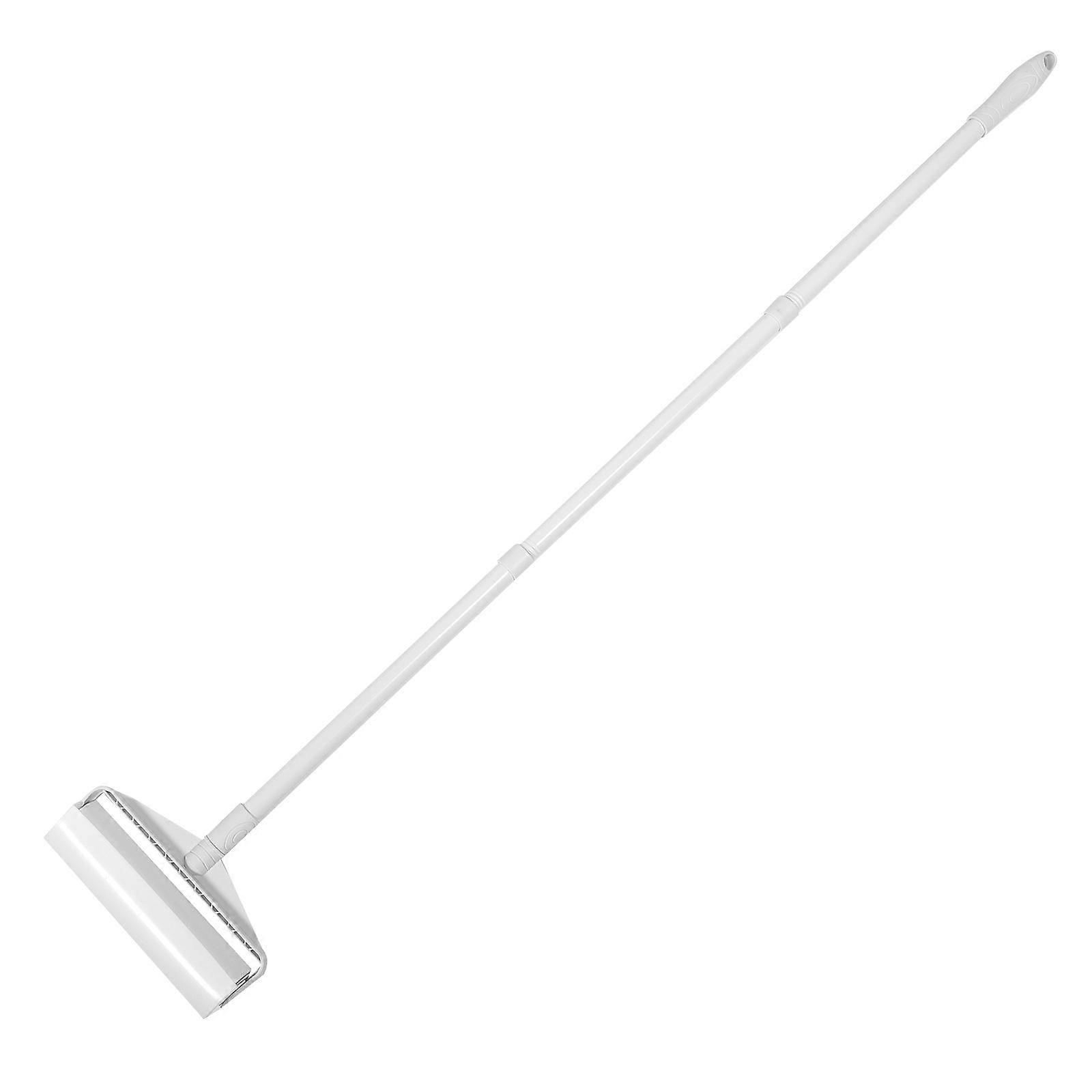 Portable Lint Remover for Pet Owners Debris Cleaning in Home Environment 1Pcs