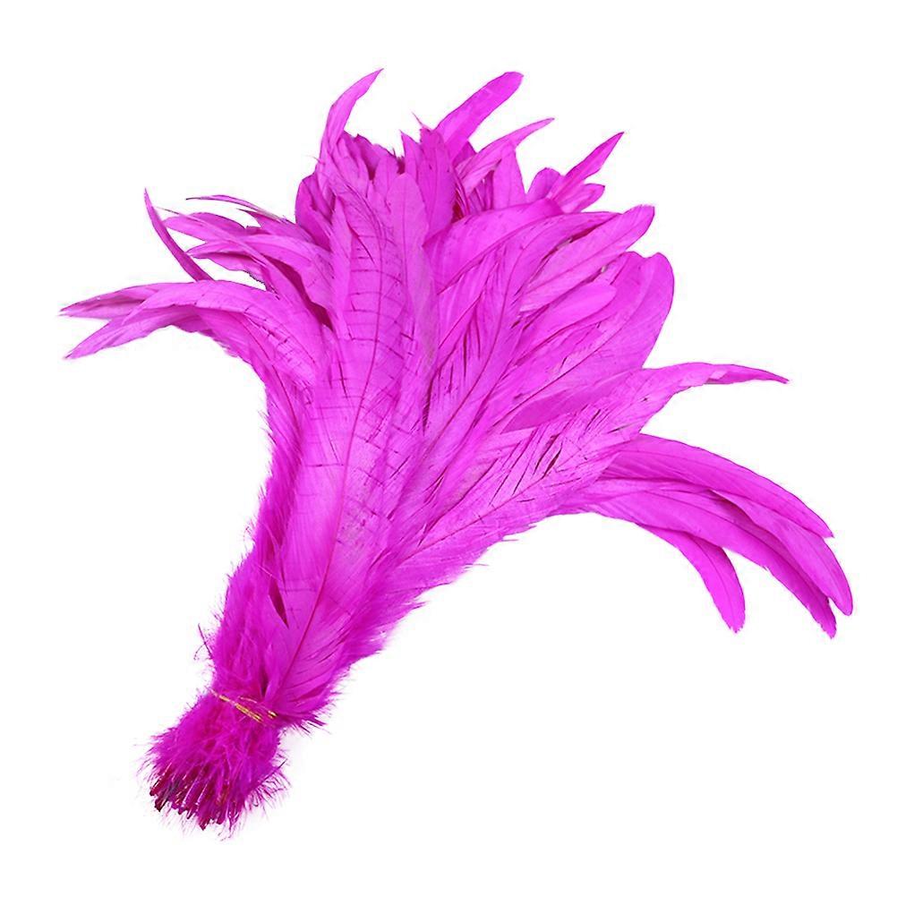 Rooster Tail Natural for Decorating 50Pcs Rosy Craft Material