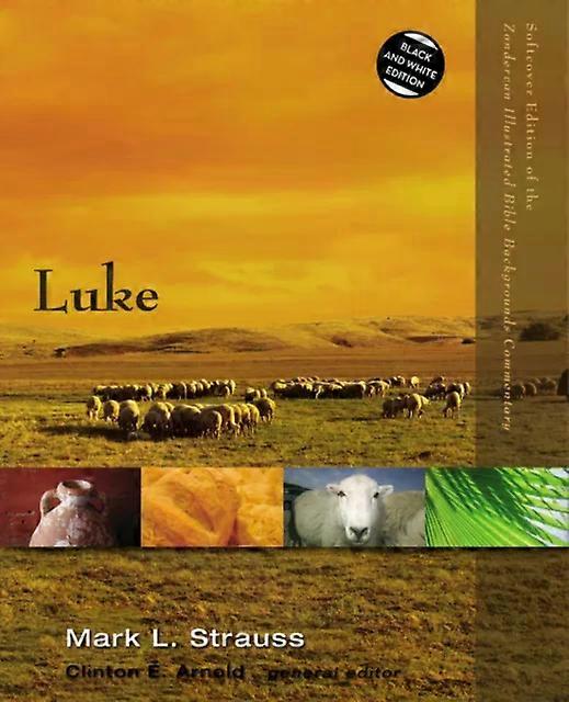 The Luke - Mark L Strauss