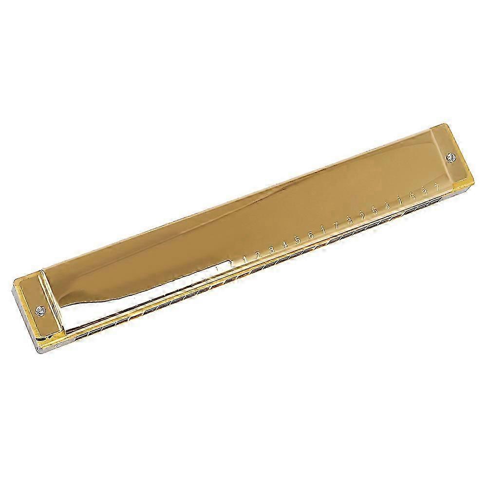 Harmonica polyphonique 28 trous en do majeur (1 pièce)
