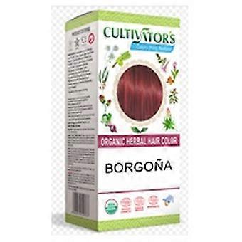 Burgundy 100 g
