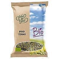 Pine buds Eco 35 g