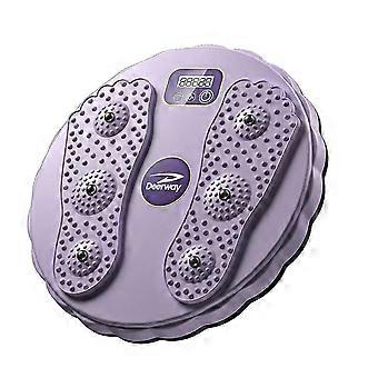 Waist Twister Disc with 3D Massage, LCD Display, Magnetic  Exercise and Toning for Home Fitness
