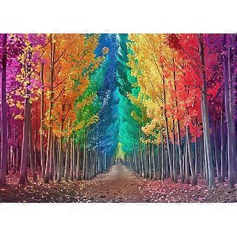 Forest Path Jigsaw Puzzle CYQL-243