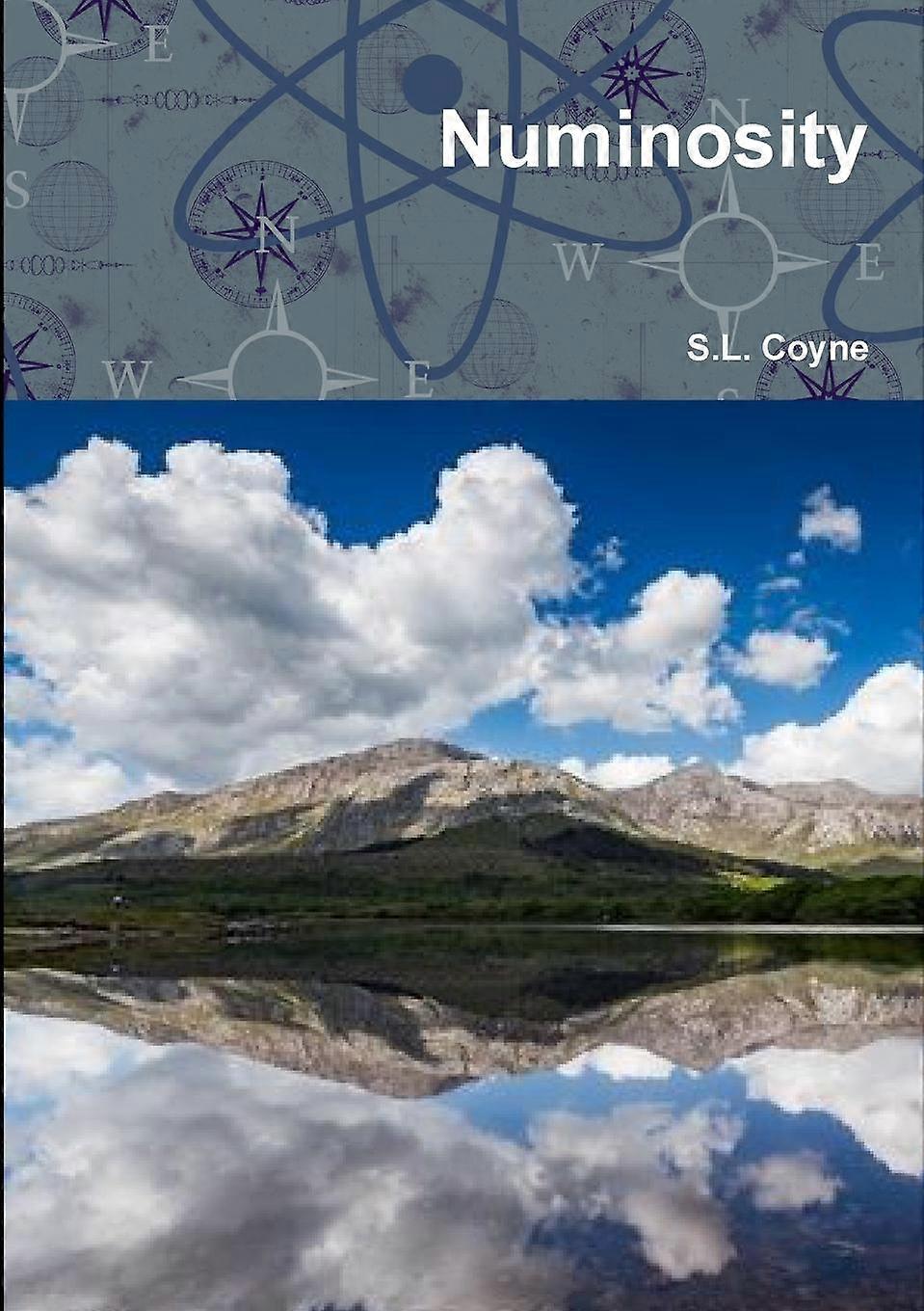 Numinosity - S.L. Coyne - Paperback - en Book