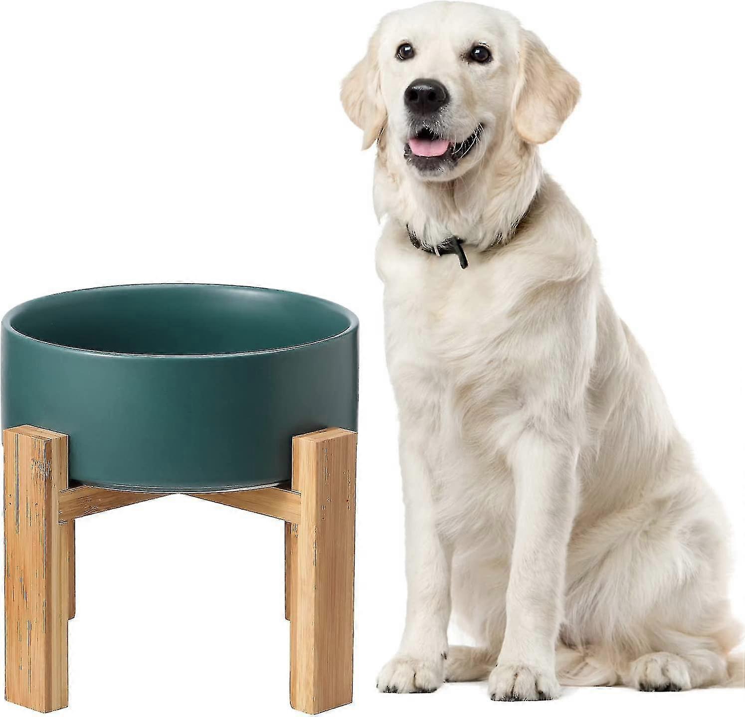 קערת חתול מוגבהת מקרמיקה לבנה, מגש מזון לחתולים עם מעמד, קערת מזון מוגבהת לחתולים או מים נגד ומיט, קערת חיות מחמד עם מונע החלקה