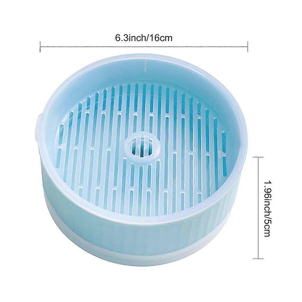 Cats Mint Plant Growing Kits Hydroponic Box ing Pot Plant Sprout Dish Cats Grass Germination Cultivation Box Greenhouse Box