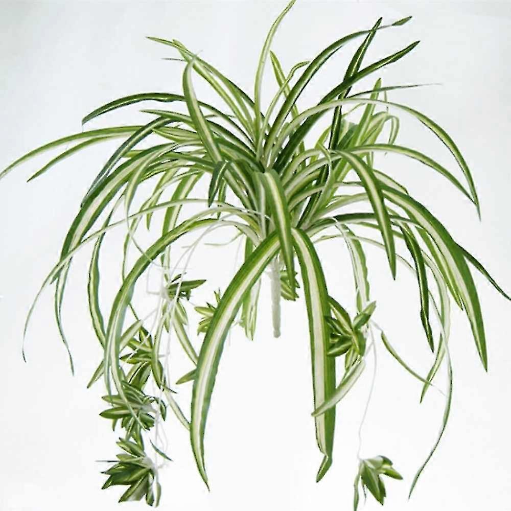 1 Kytica Veľká veľkosť Simulatio Chlorophytum Comosumn Plant Wall Zdobiť umelú rastlinu 60cm