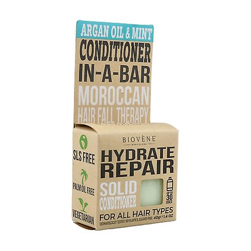 Argan Mint Solid Conditioner 40 g