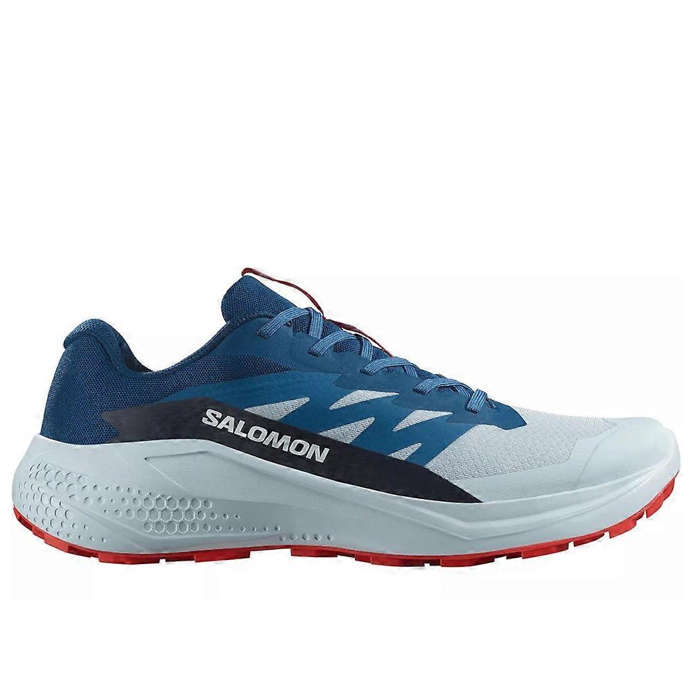 Shoes Salomon Alphaglide L47724300