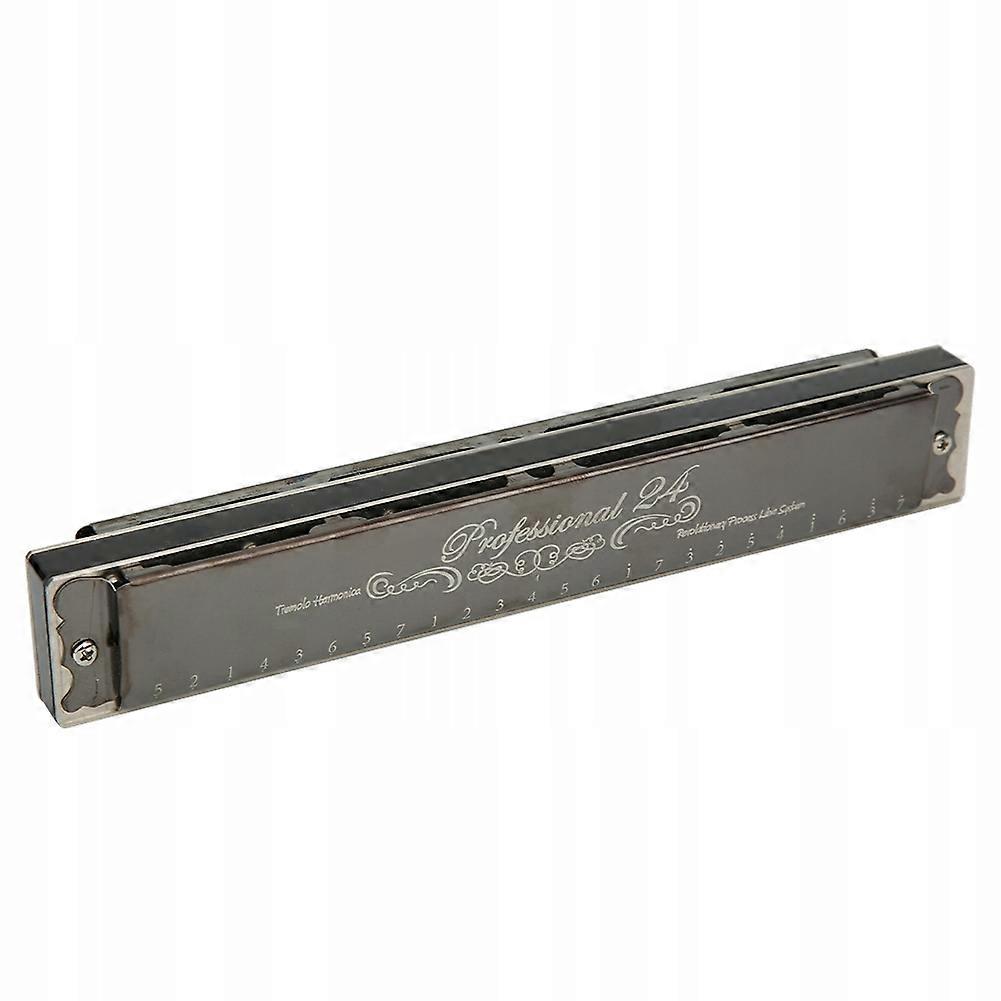 Harmonica Professional Diatonic Harp